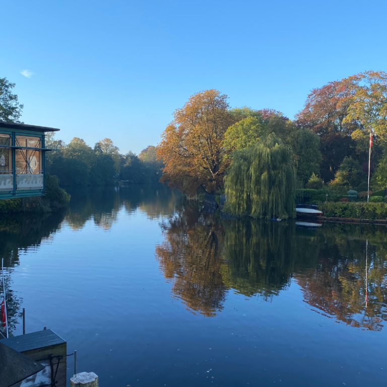 Blick vom Mühlenkamp aufs die Alster. Im Hintergrund Bäume in herbstlicher Verfärbung